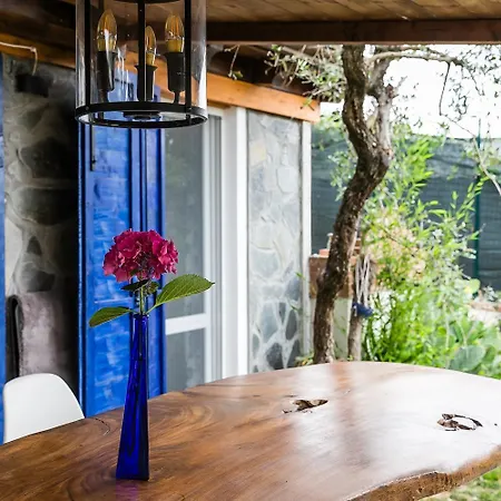 Chicca Blu シャレー モンテマルチェッロ